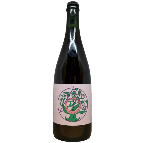 Antidoot - Dancing In The Dark (2022) – cider van Antidoot, fles 75 cl
