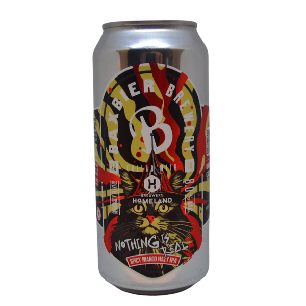 Baxbier x Homeland - Nothing Is Real