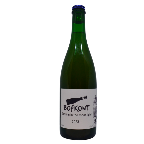 Lucky Guy - Dancing in the Moonlight (2023)