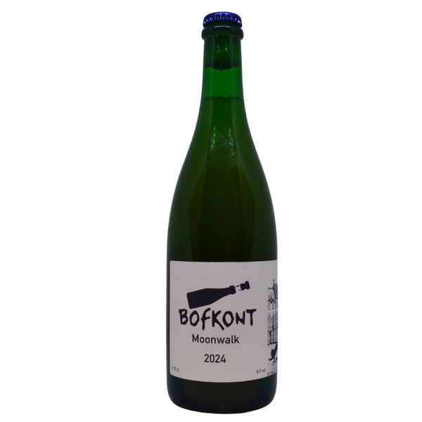 Lucky Guy - Moonwalk (2024)