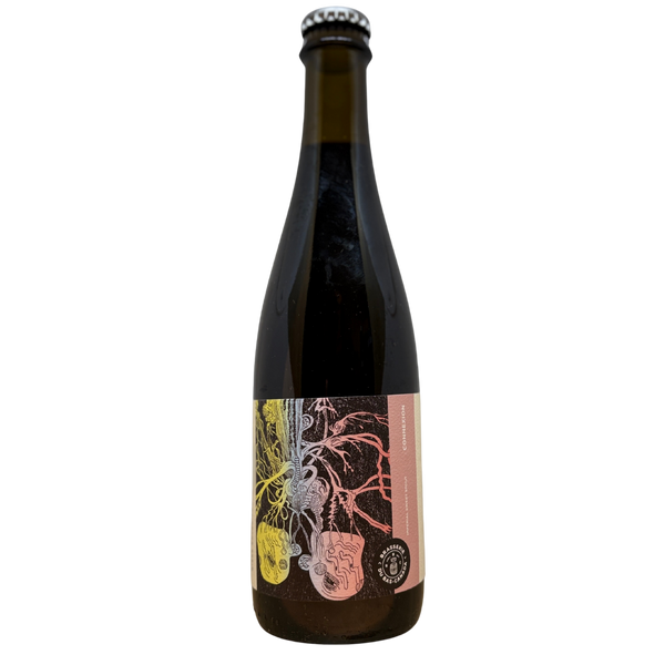 Brasserie Du Bas - Connexion (2025)