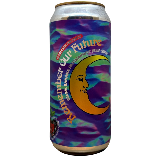 Elmeleven - Remember Our Future